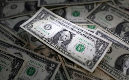 TREASURIES-Yields fall as US prices rise modestly in June